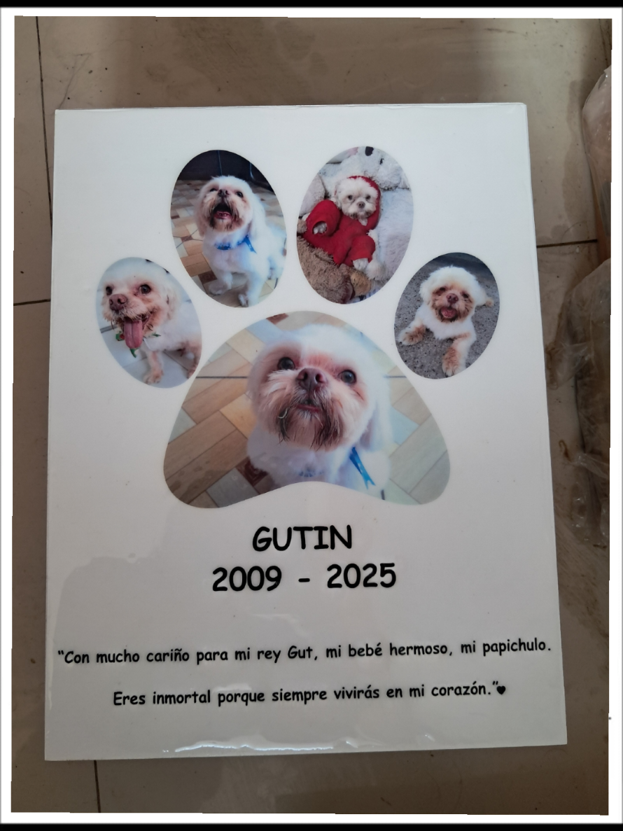 @Will AnimaLover