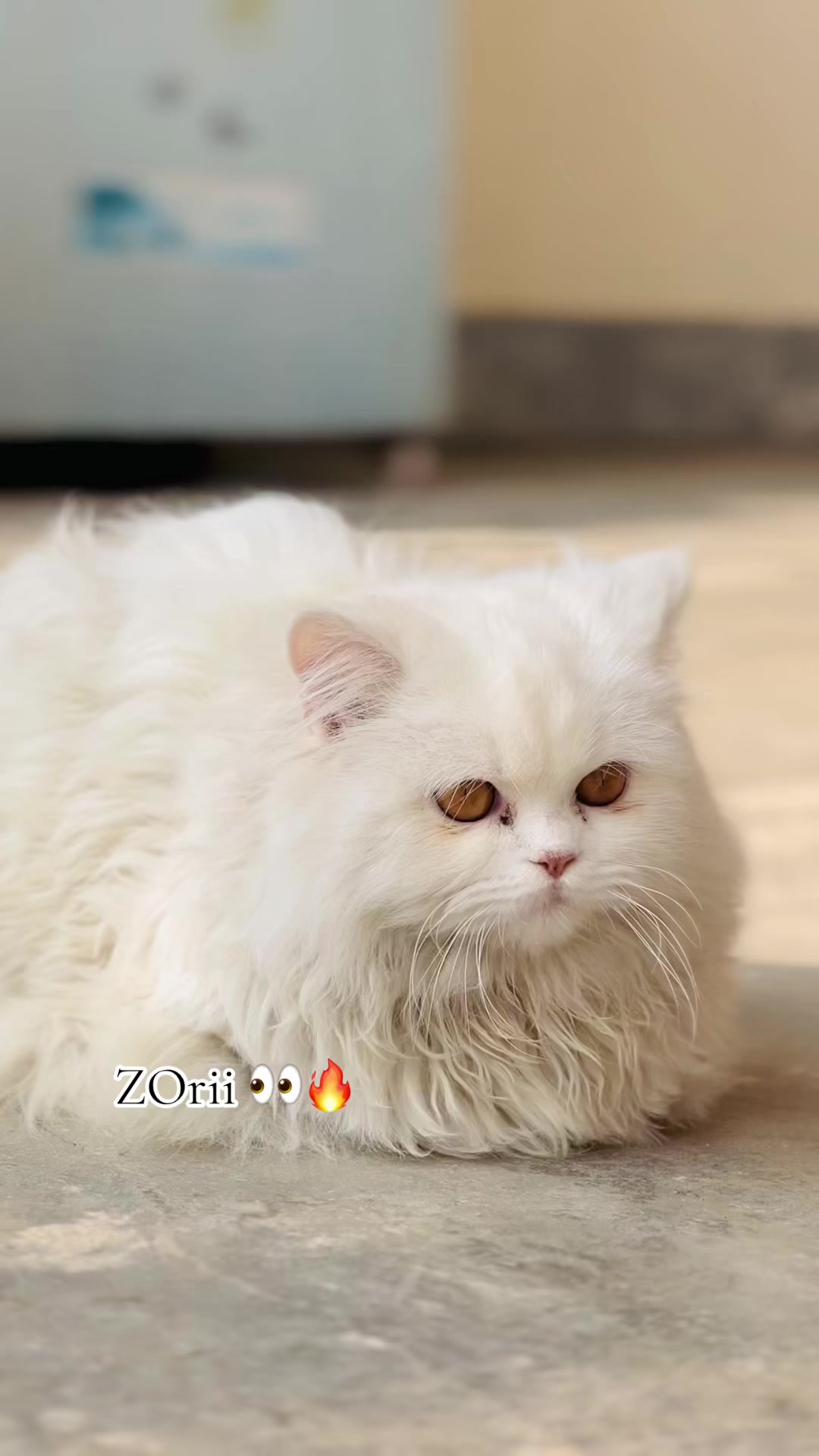 @zorii75