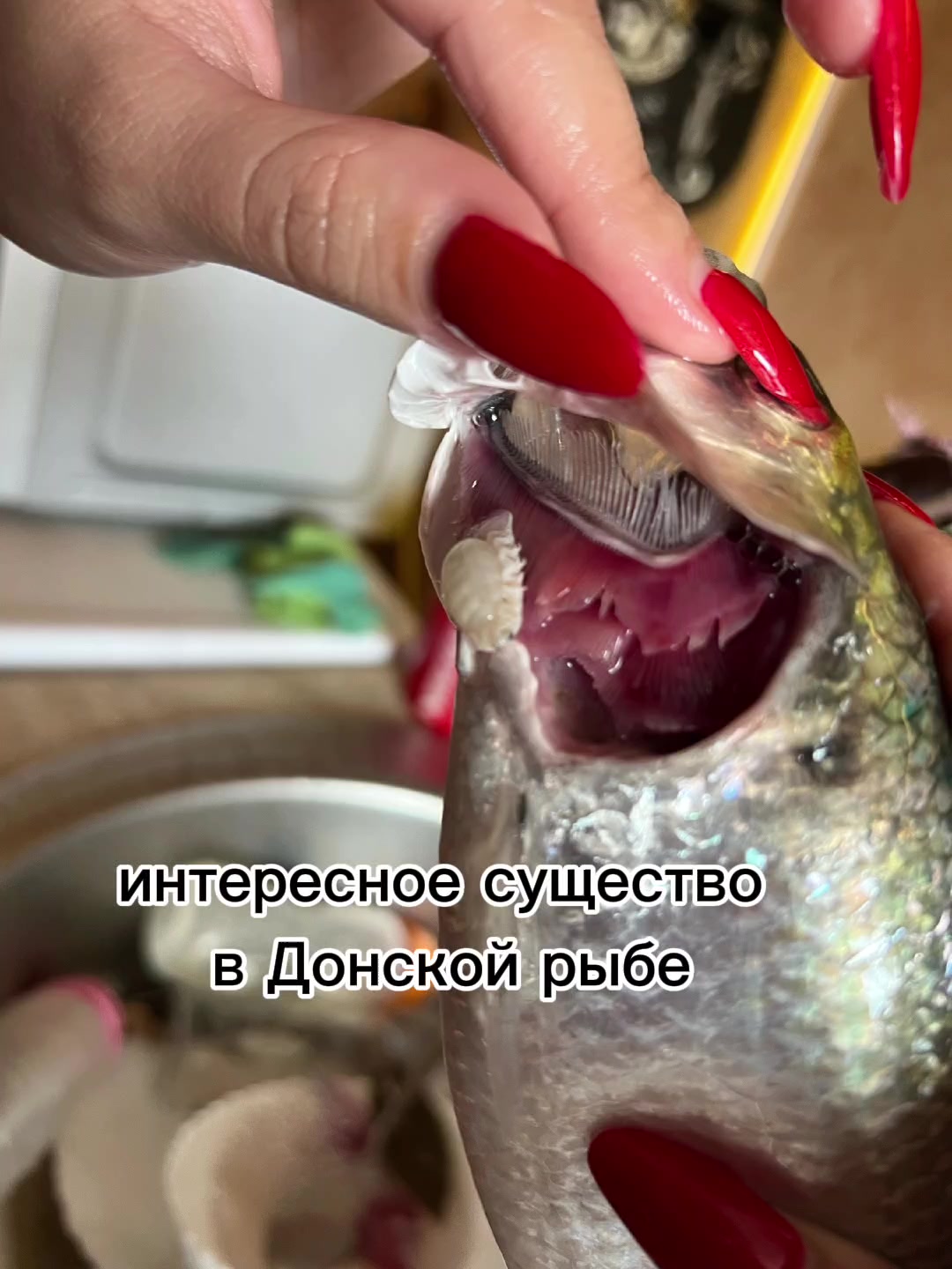 @✨Катюха КаЧан✨😝
