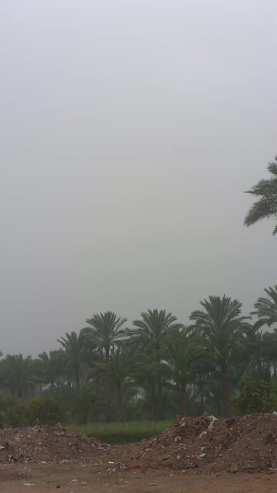 @🦅بنت الاكابر 🫀👸