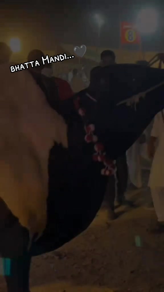 @125xJannan