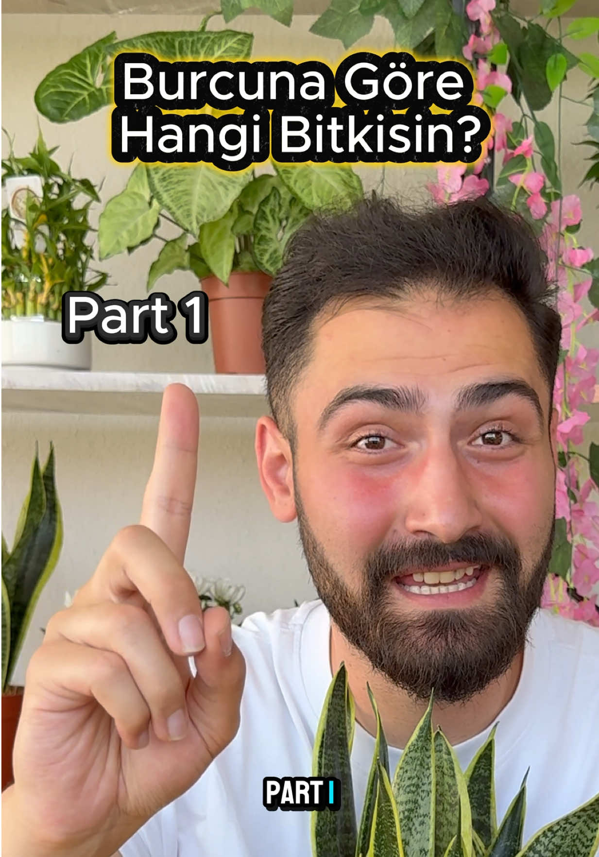 @Saklı bah&ccedil;e Bitkileri