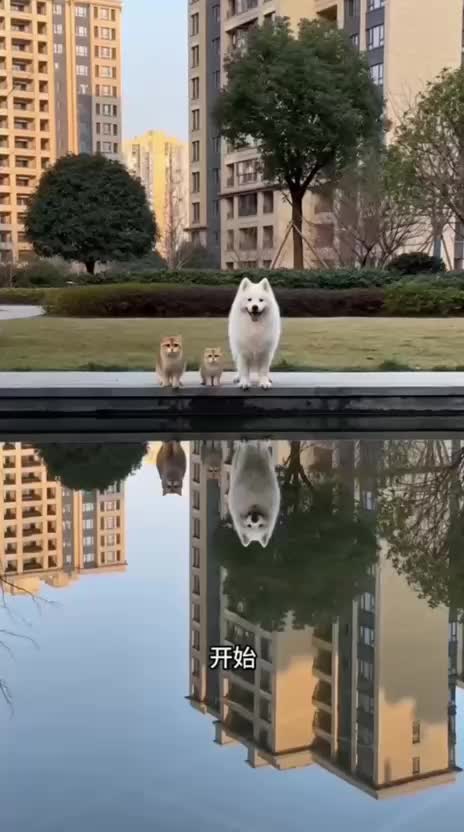 @Funny
