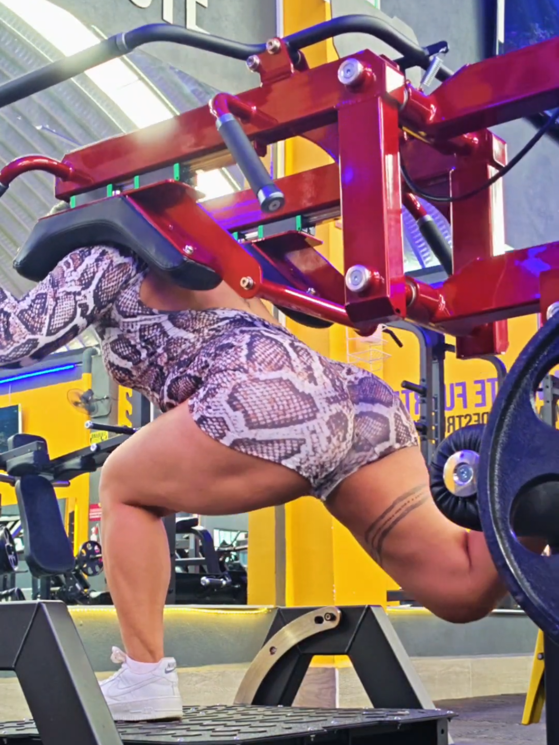 @Lunisgym
