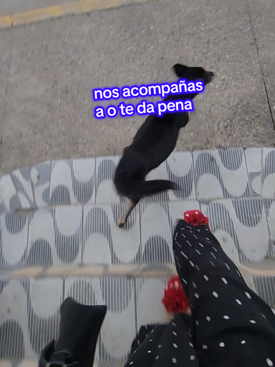 @Gaby axsume2