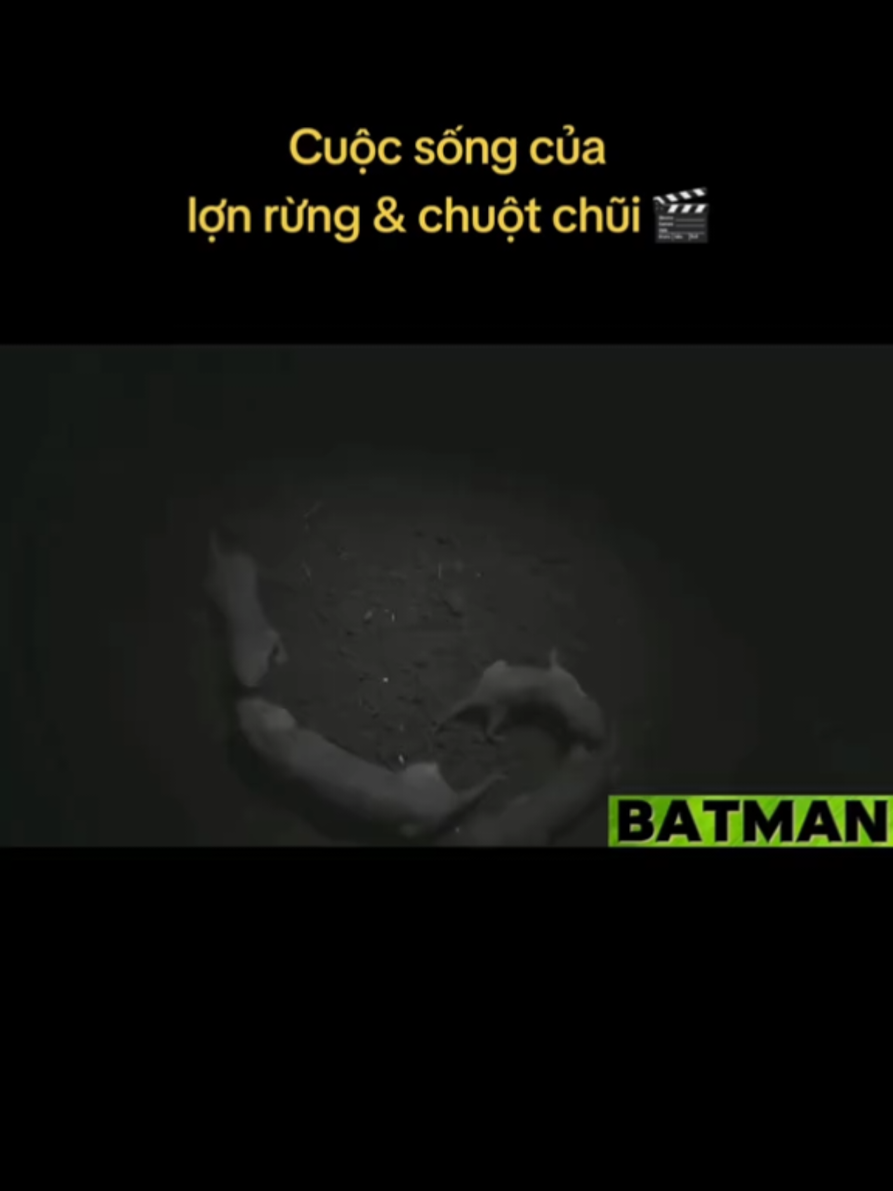 @🌏 BATMAN