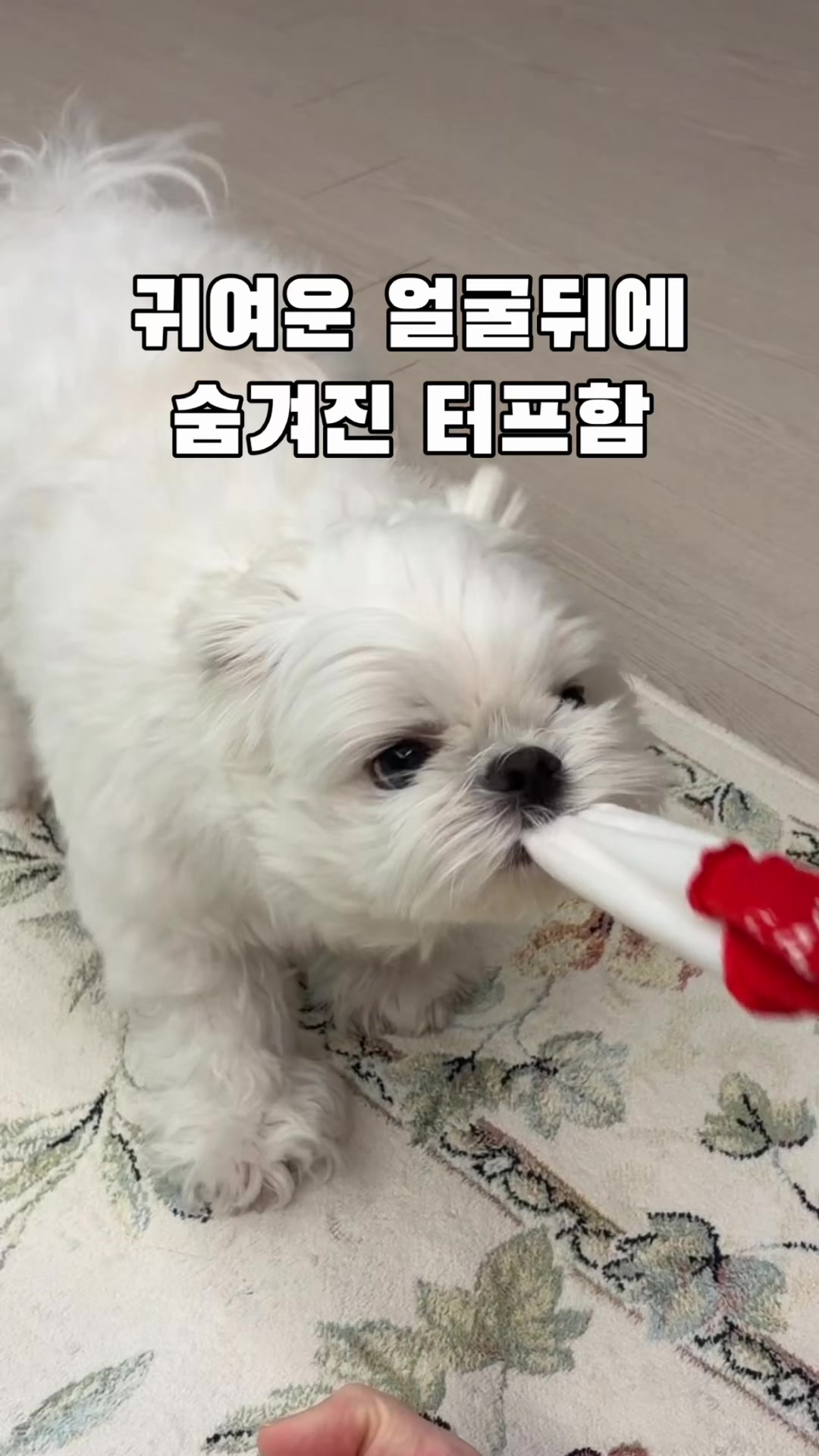 @박까까