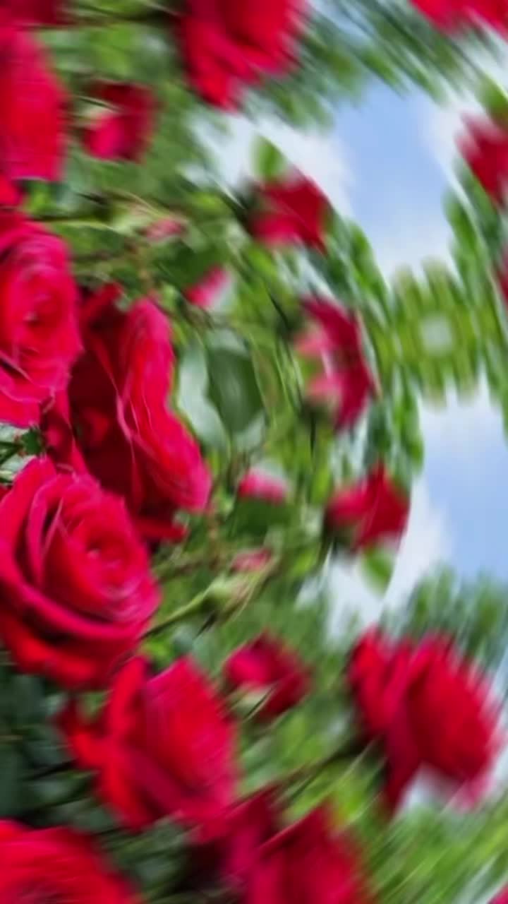 @Shanta_Poudel