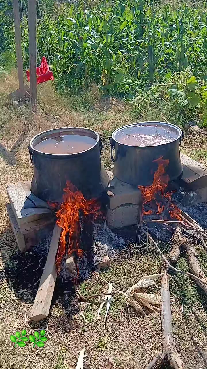 @fidansamet68