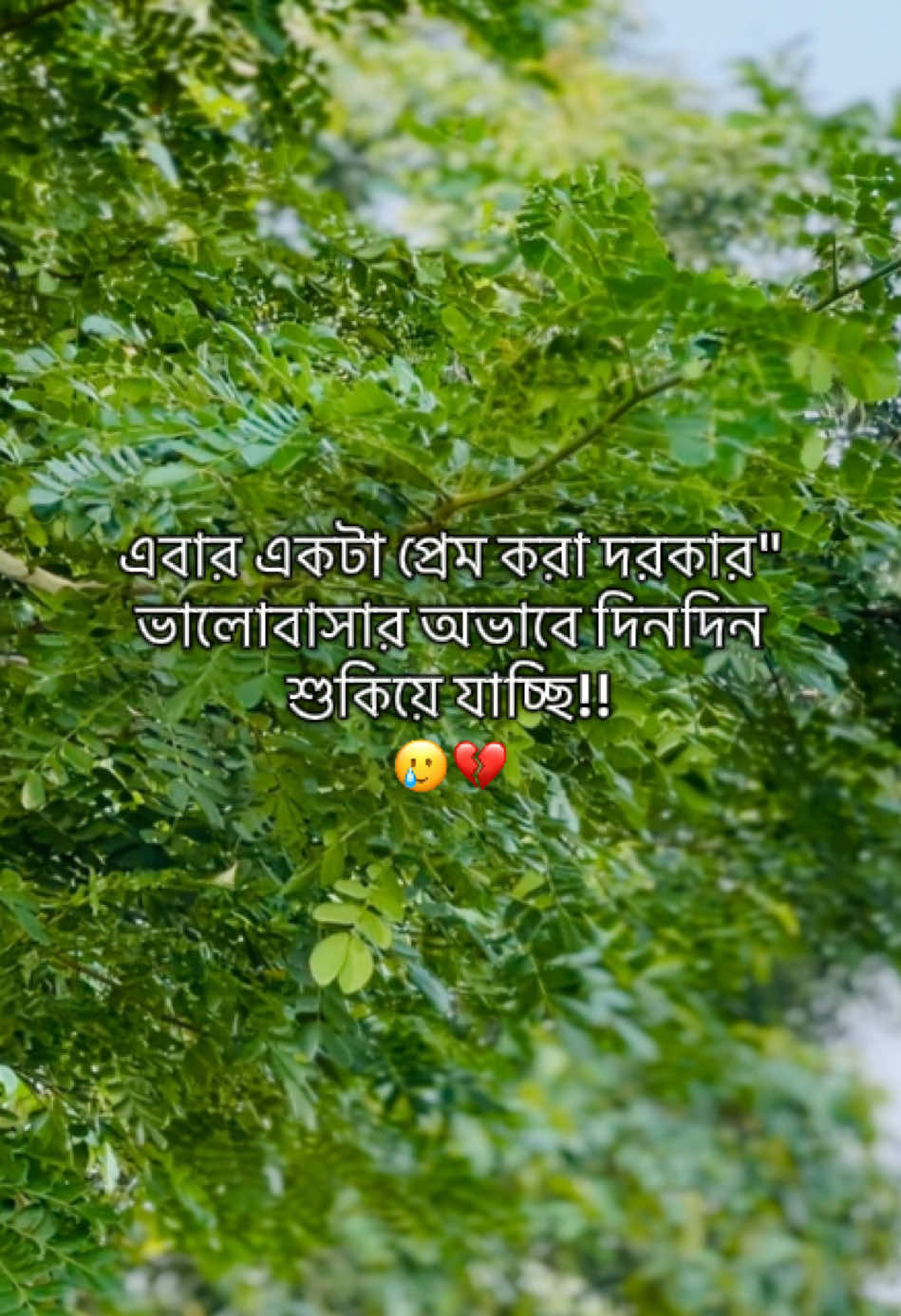 @টিক_টকি 🐸