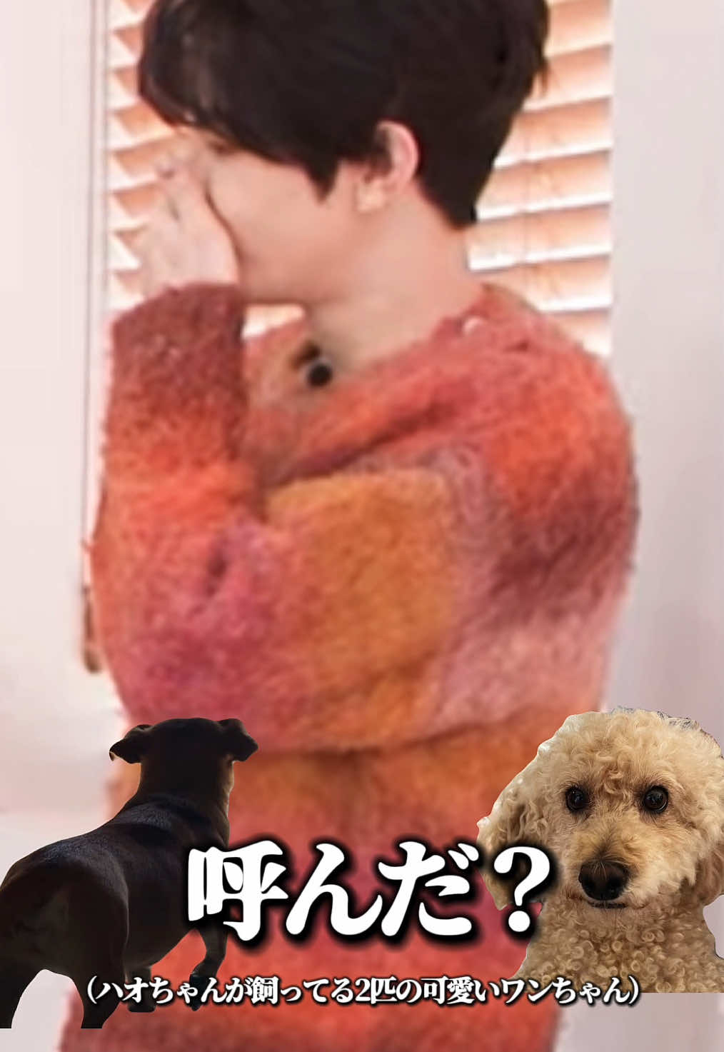 @한beeen