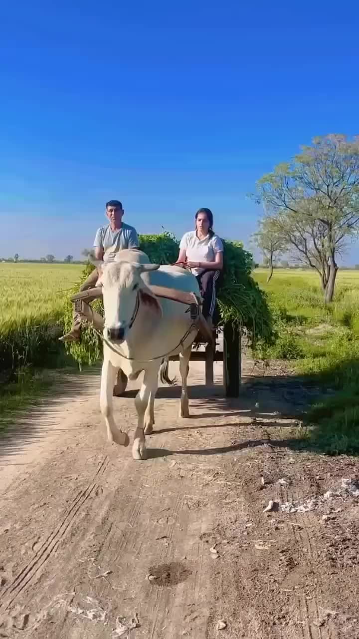 @khusi jatti