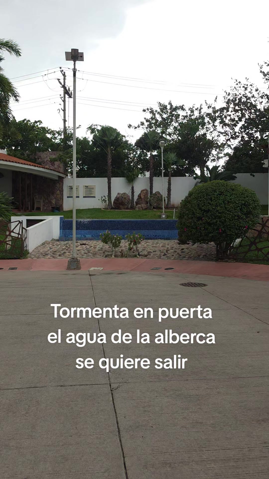 @Siempre Viva!!!