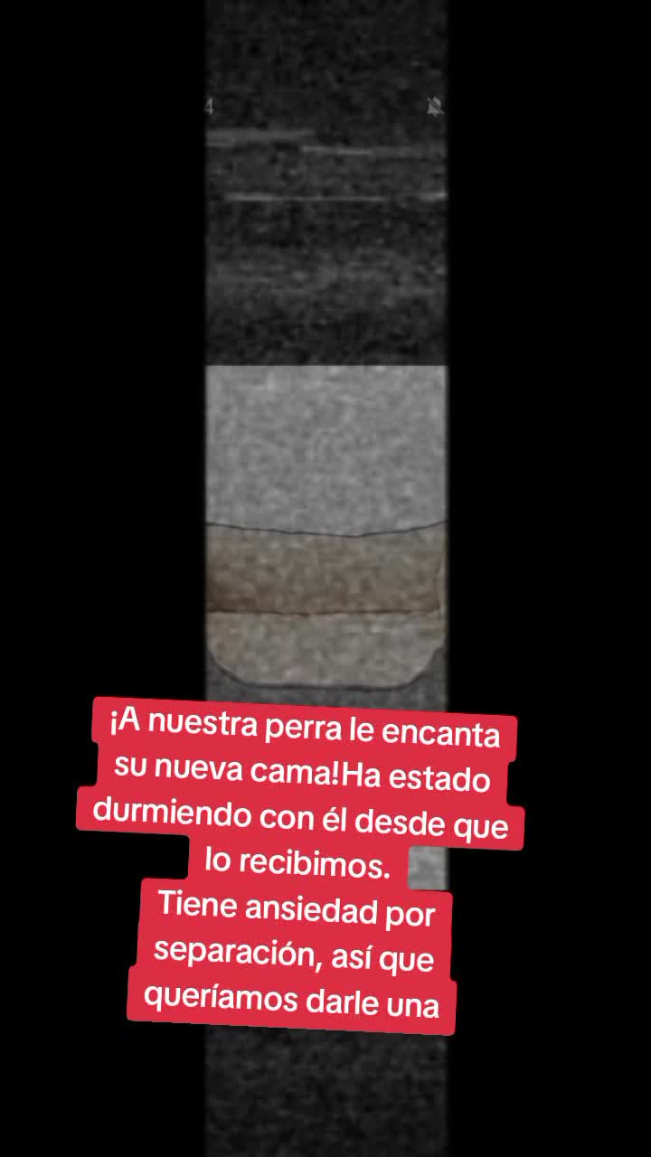 @AmericanistasDeCorazon