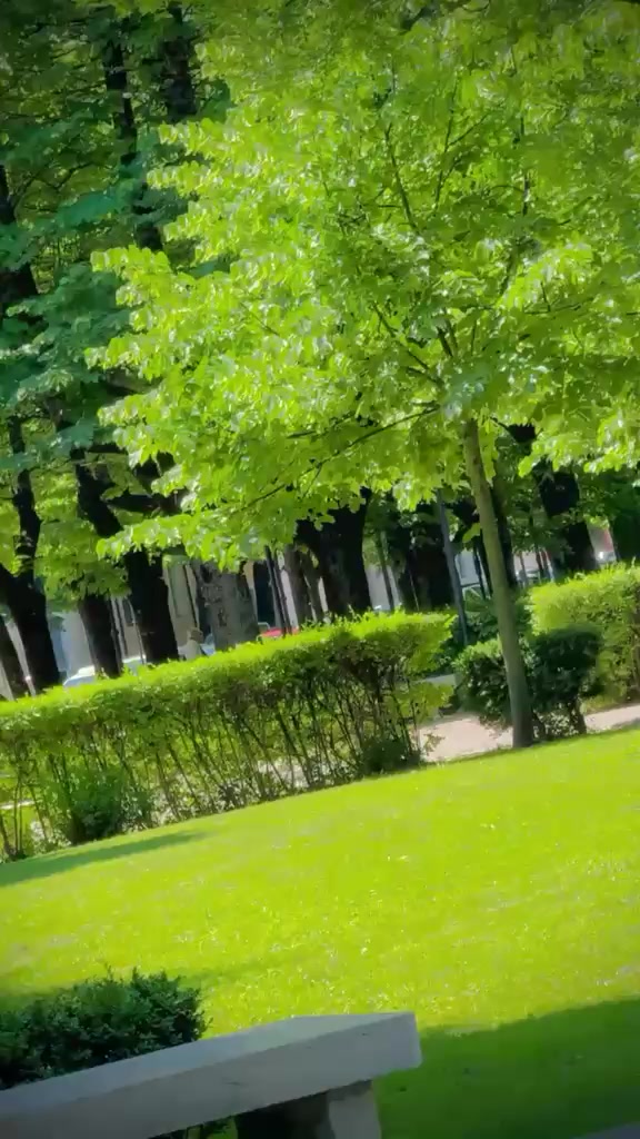 @Zₑₑₛₕₐₙ خان🇵🇰🇮🇹