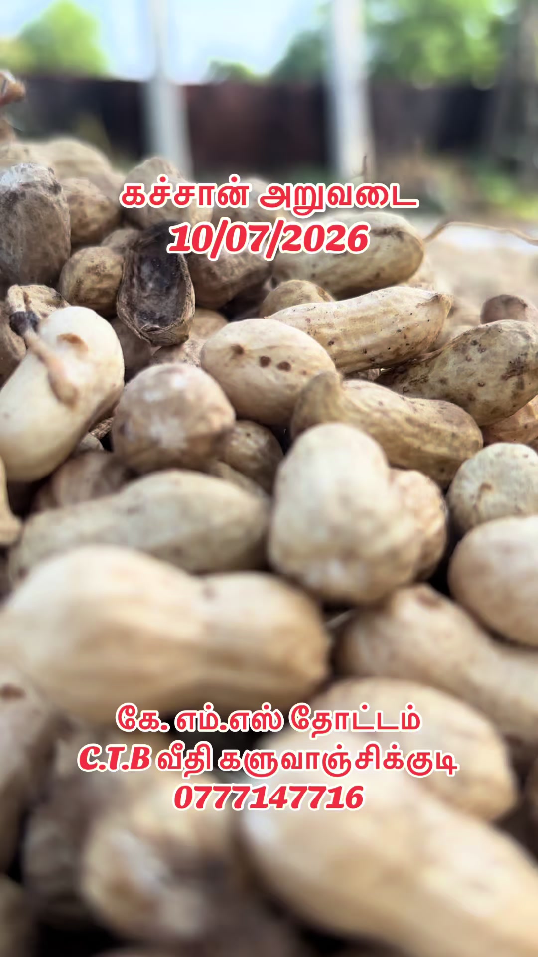 @𝐊.𝐌.𝐒 𝐉𝐄𝐖𝐄𝐋𝐋𝐄𝐑𝐘