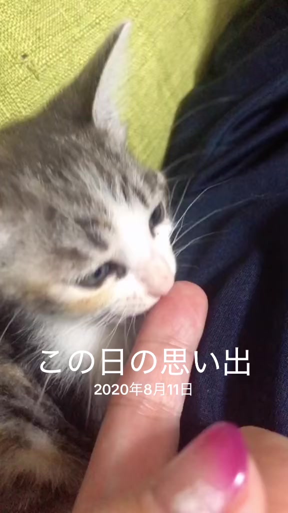 @♪♪ナォ♪♪