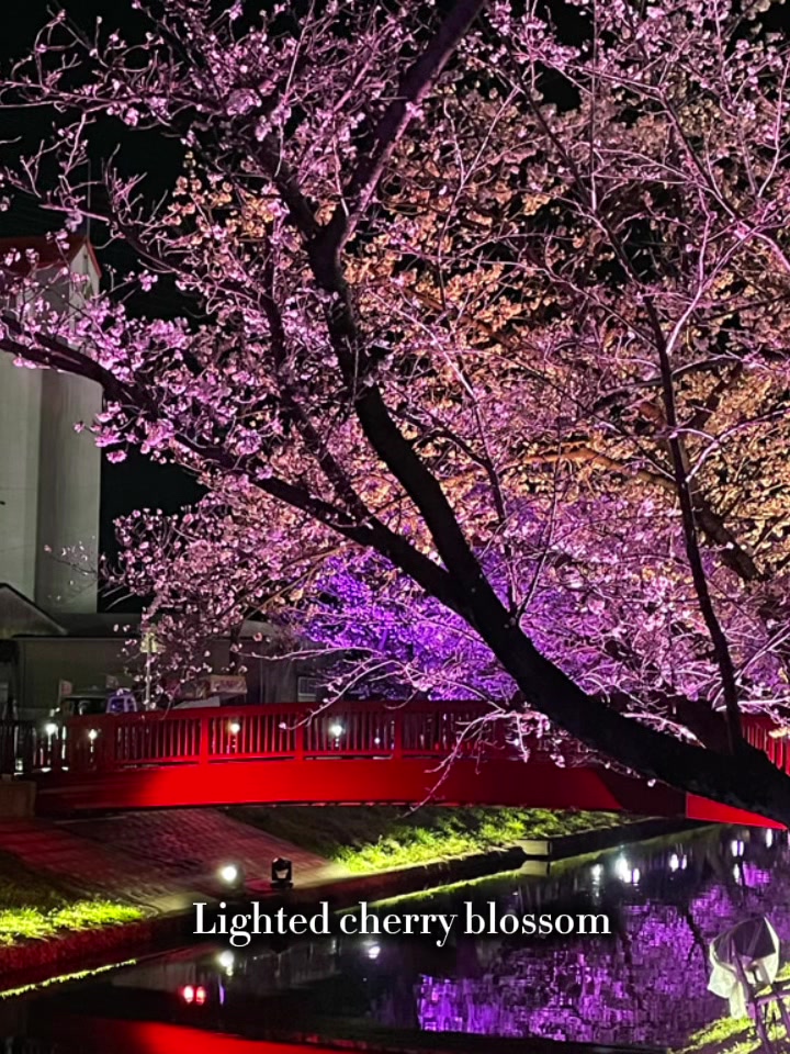 @夢夢0731