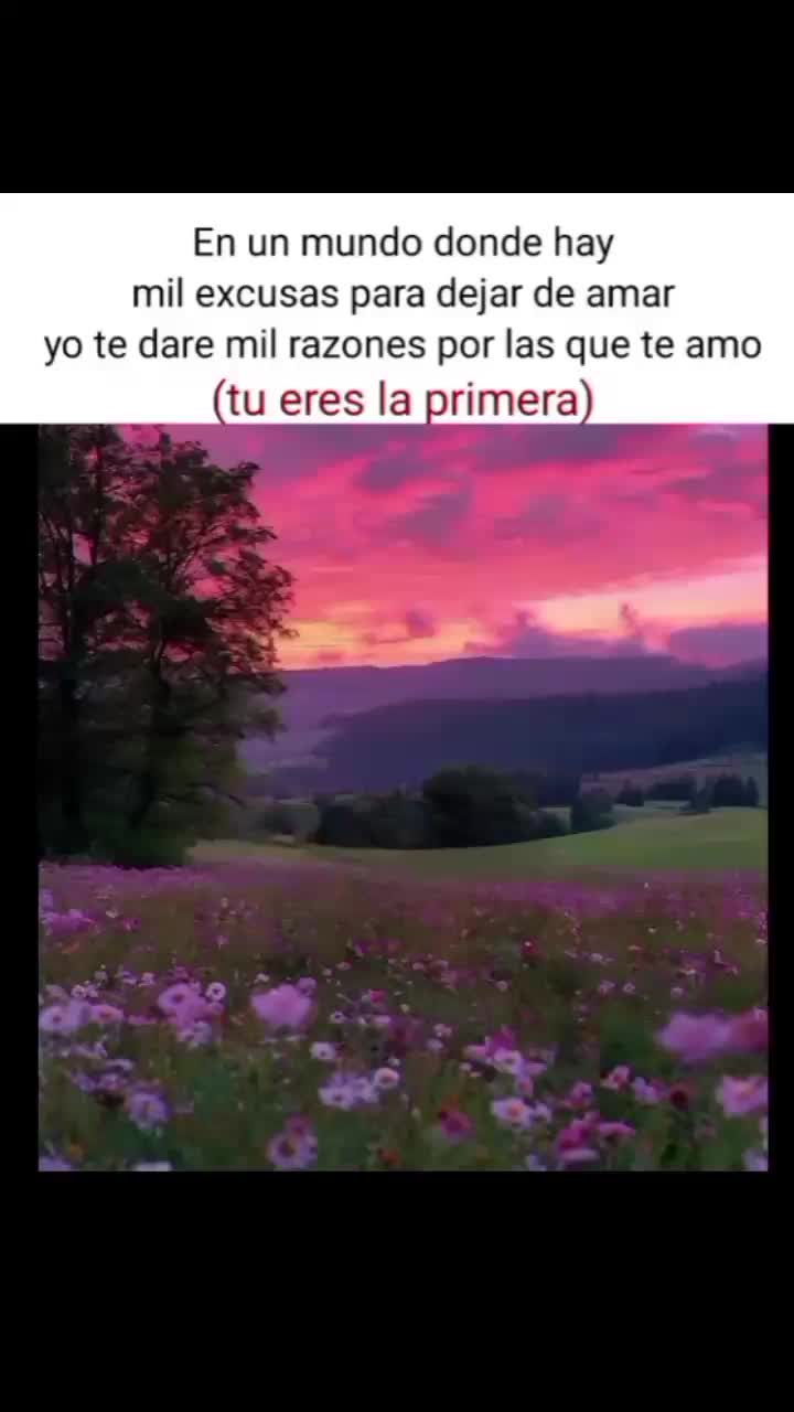 @Gabriel Palomino 17