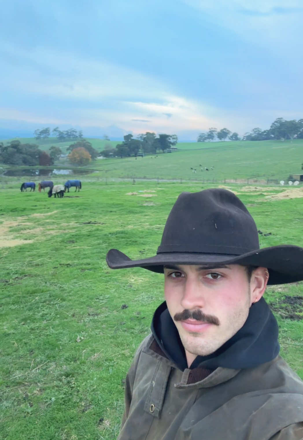@Liam 🤠