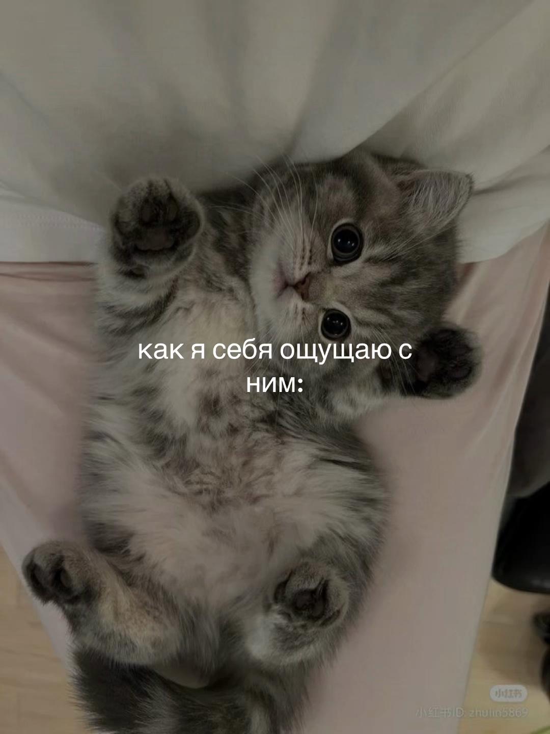 @верлиоп