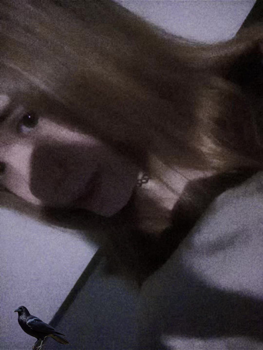 @sshitcaaat