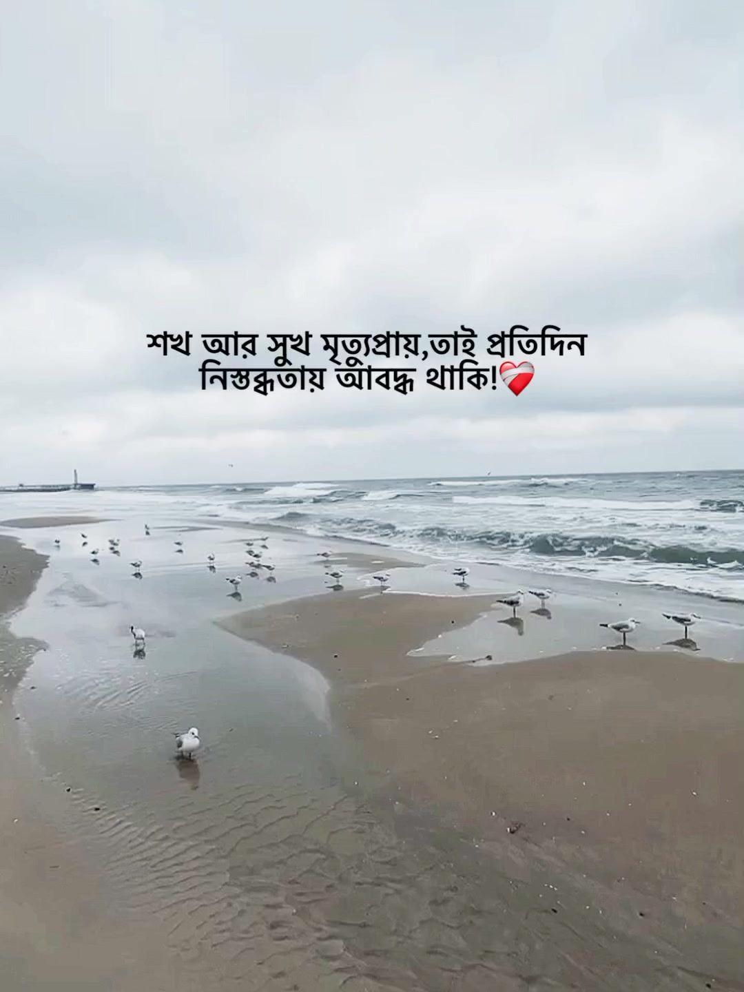 @đŗđđēđēđˇđž đąđ¸đģđ°đđˇ;)đī¸