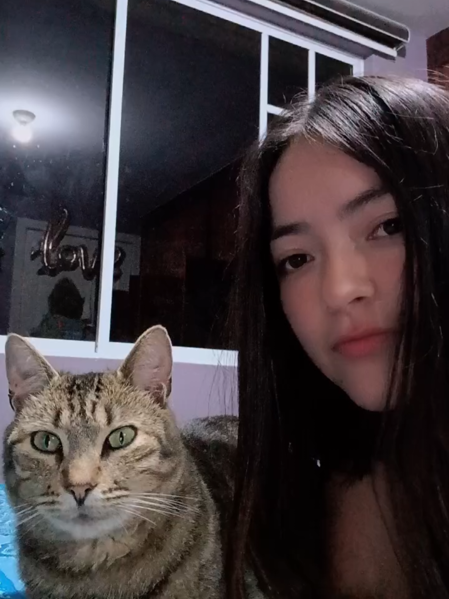 @Erika Fernanda 🦝👩&zwj;🎨