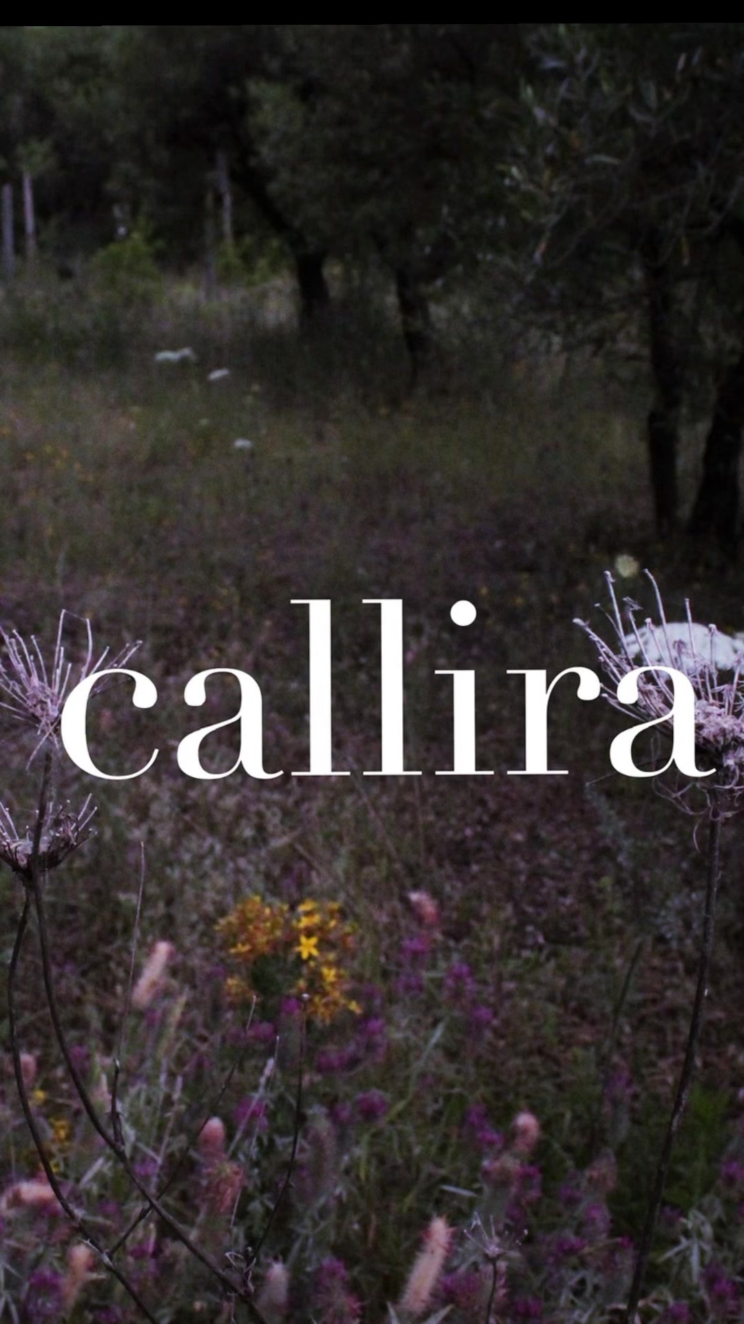 @🌙c a l l i r a