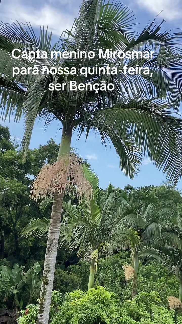 @Preta_🩷💙