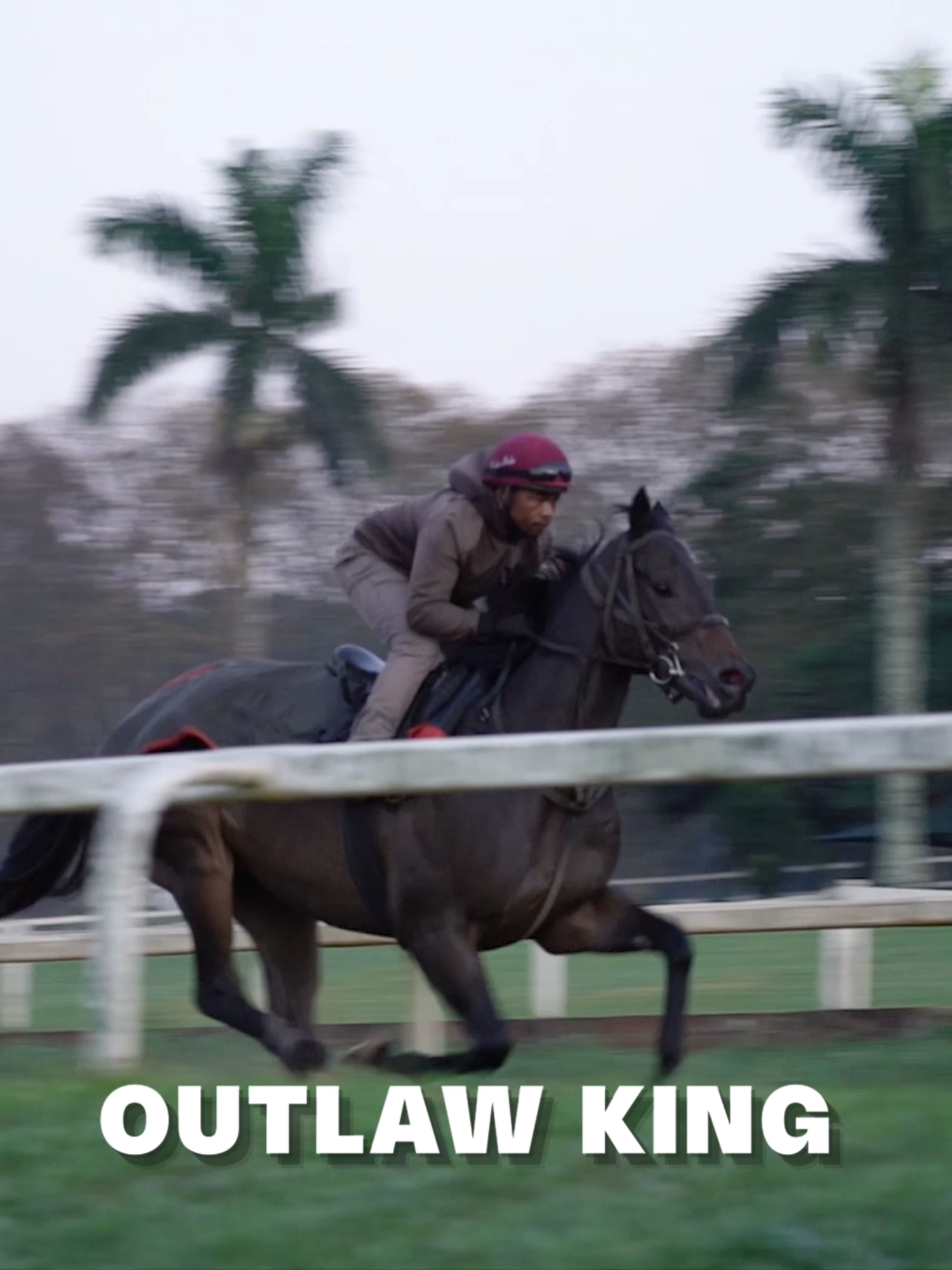 @Gallop TV