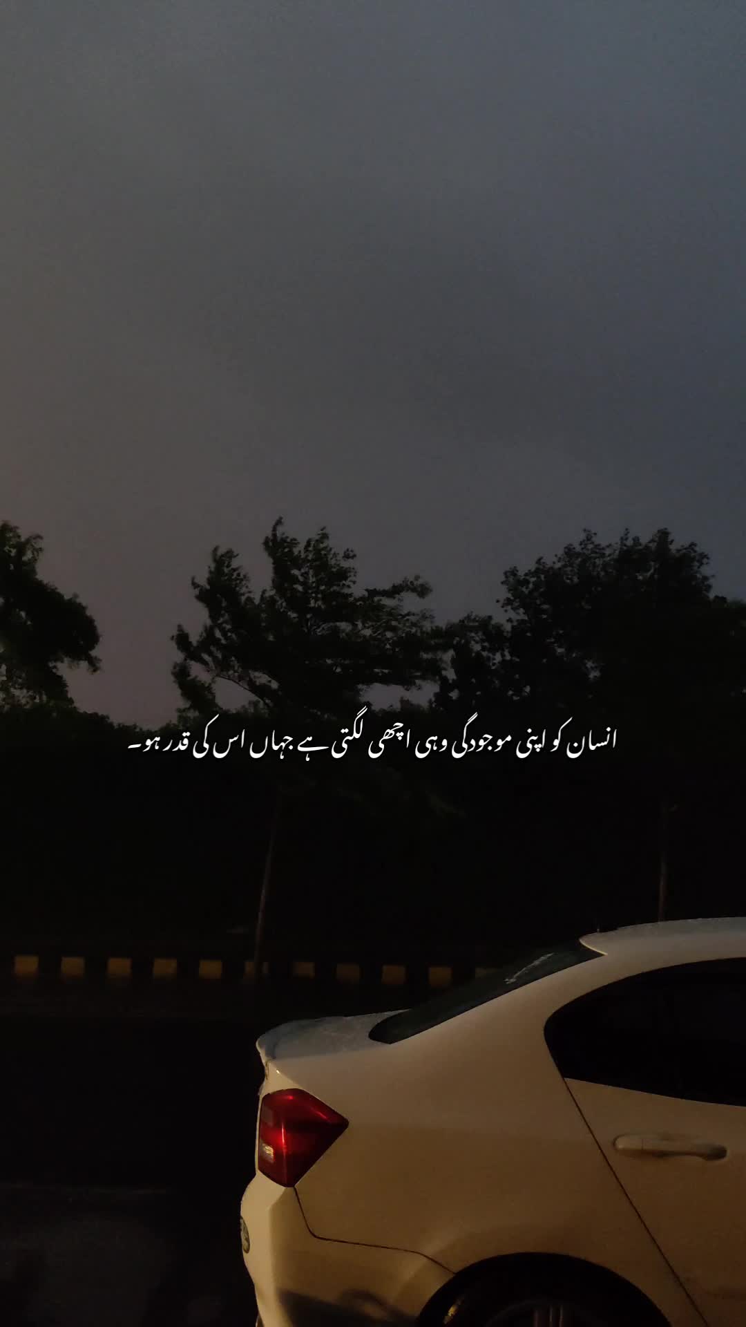 @تنہائی پسند🥀