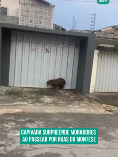 @Di&aacute;rio do Nordeste