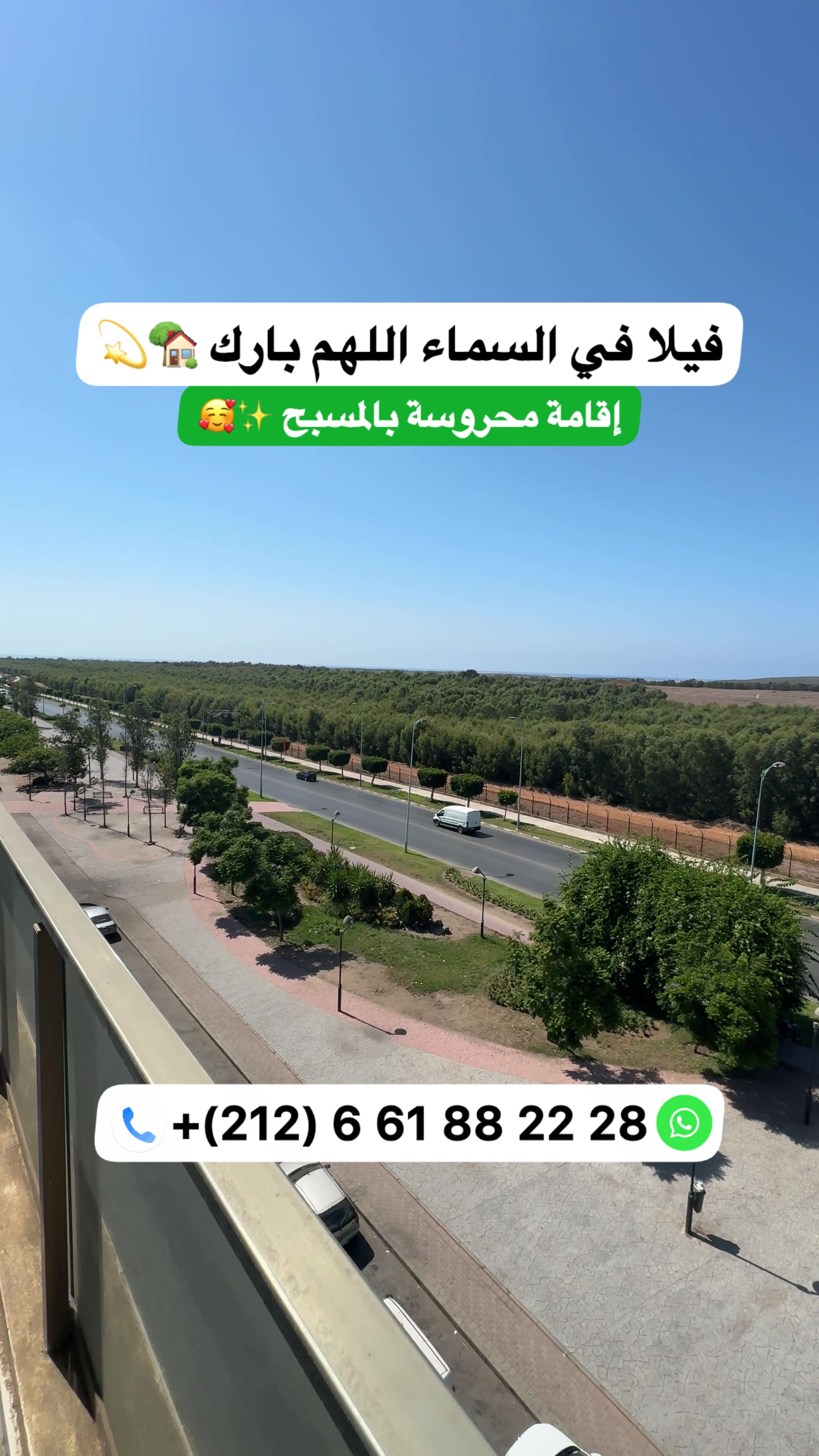 @Zakaria Haddad 🇲🇦🇵🇸