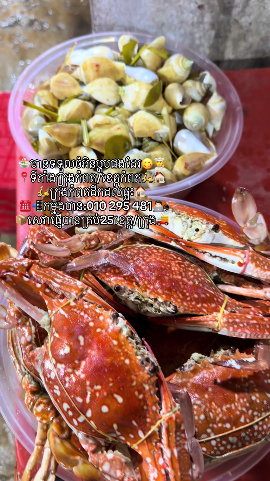@កំពតគ្រឿងសមុទ្រ