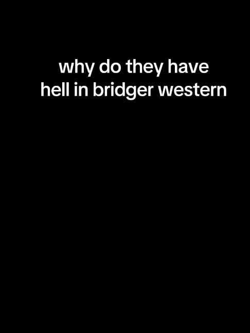 @4dawin