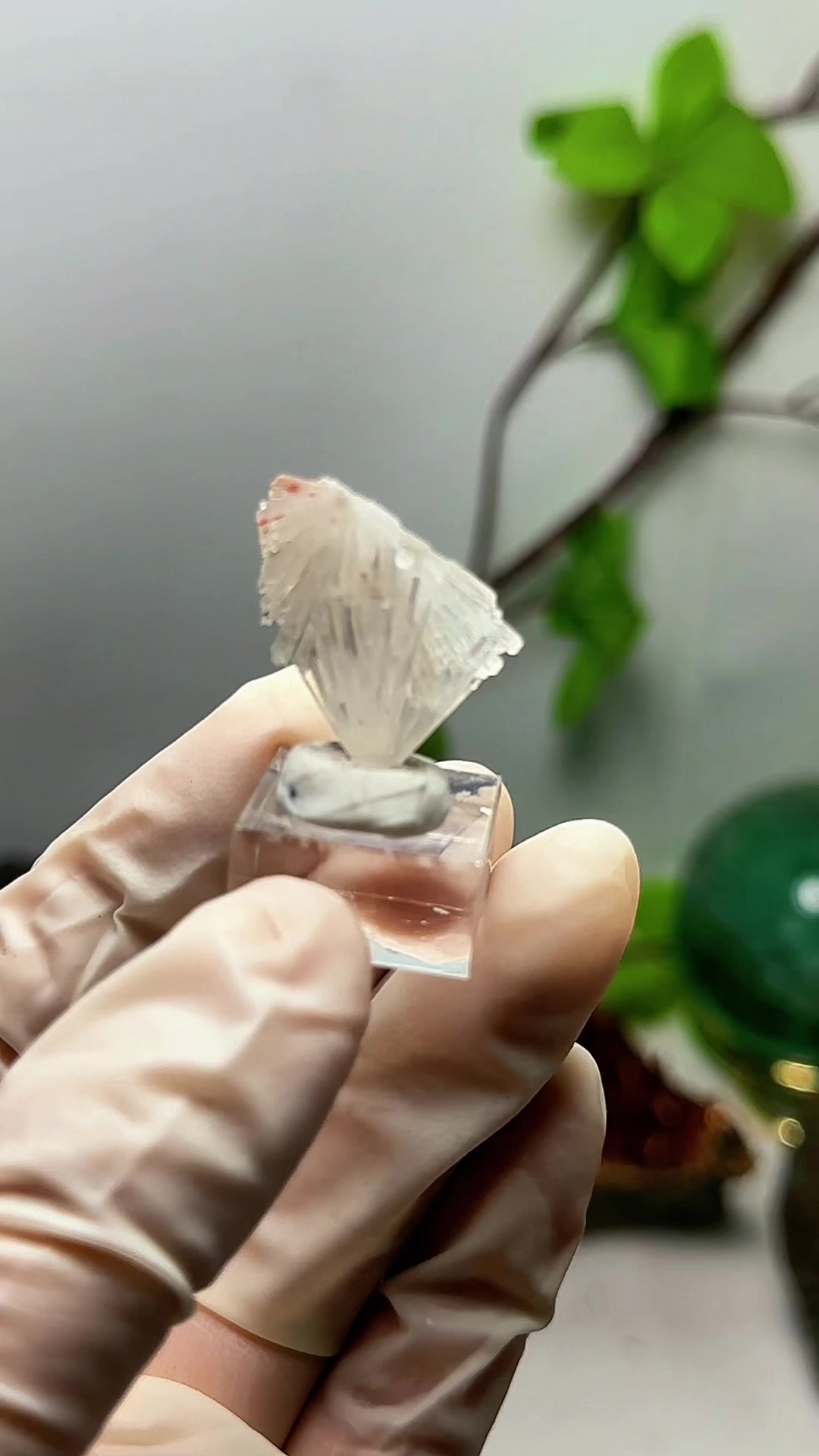 @Th&iacute;ch Đ&aacute; Th&ocirc; Nhưng Thật 🌿