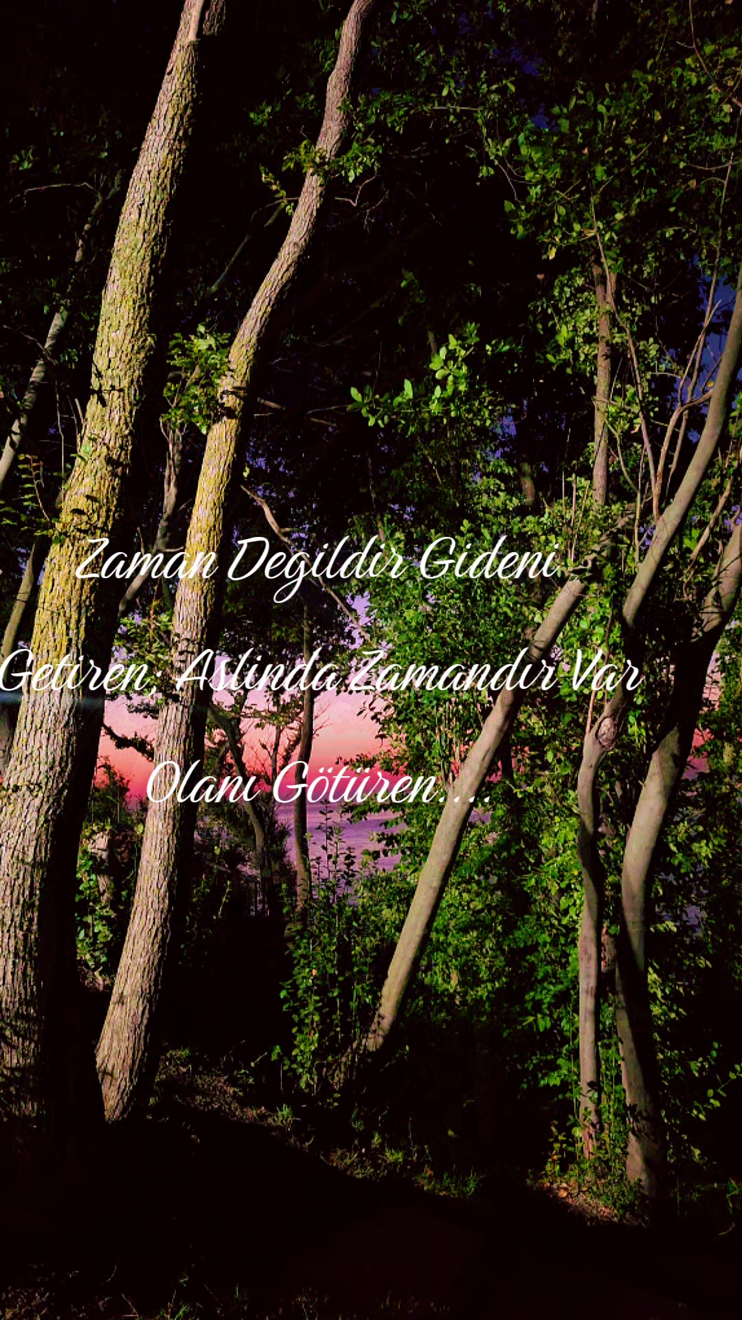 @Gül öztürk 16