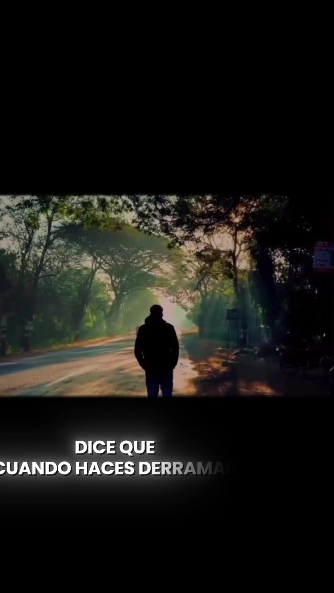 @Chris Michel Canto