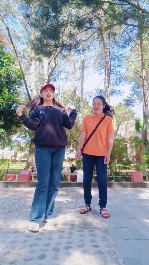 @Nellysiregar