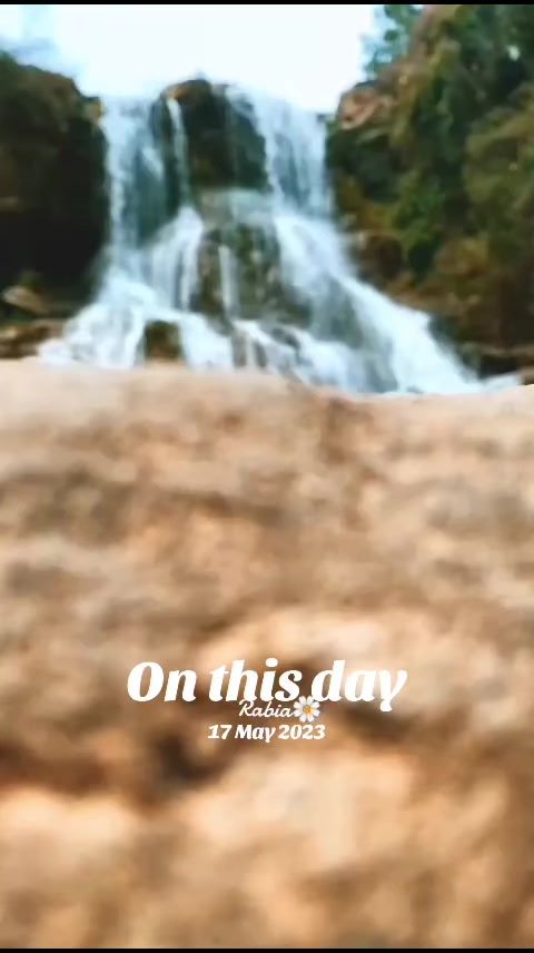@Vlogs by Rabia 🌼🍁