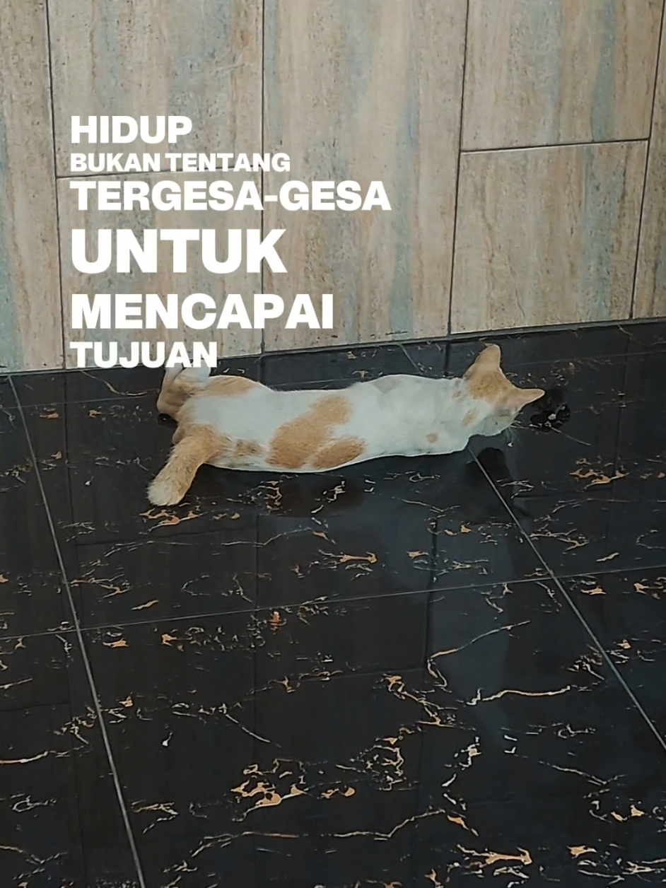 @BETTA KENANGAN