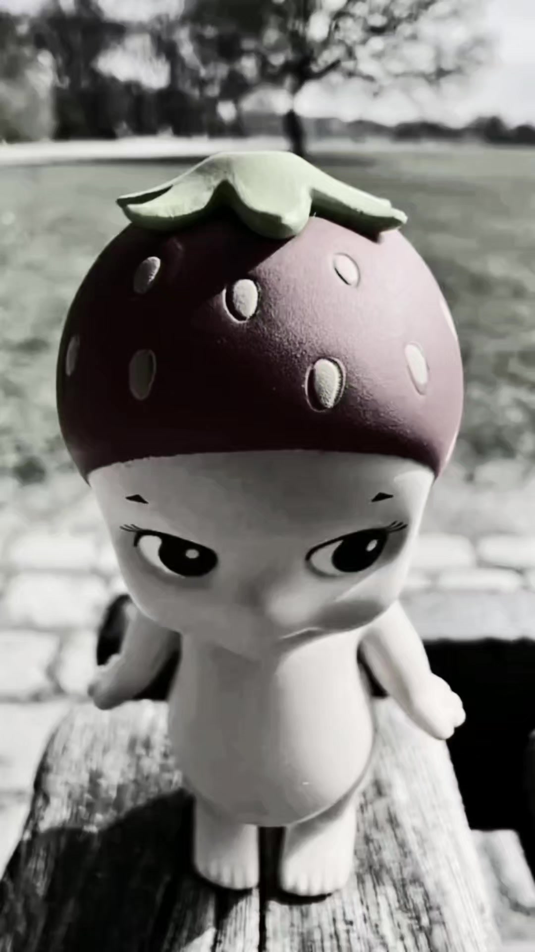 @꘩ 𓊔 sᥲrık&upsilon;ᥣᥲ 𝂅 ࣪🩷 𝂅 ᵎᵎ