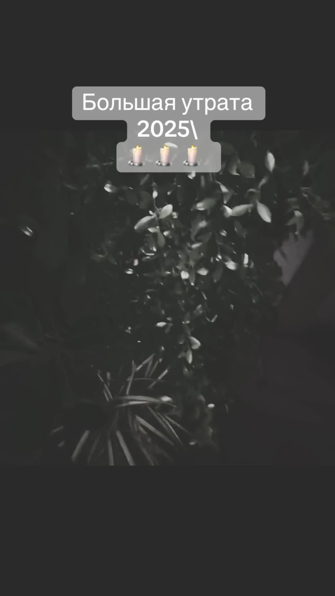 @𝗦𝗼𝘂𝗻𝗱𝗧 🐾