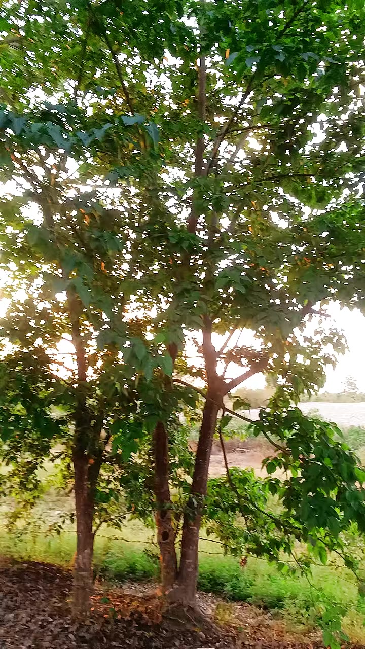 @Dear .jindagi 👍️💔💘
