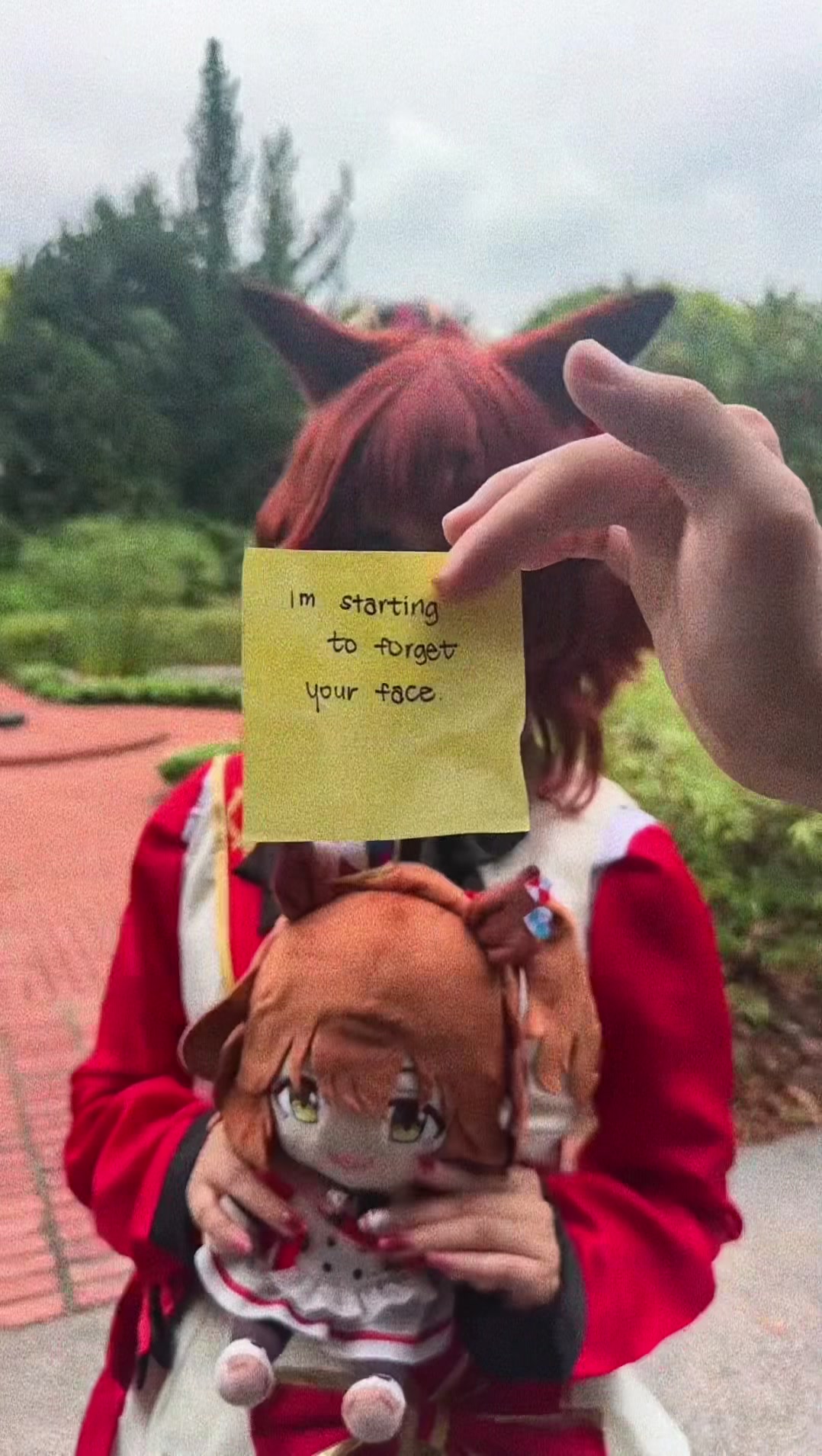 @kiku☆ // kikuscos on ig