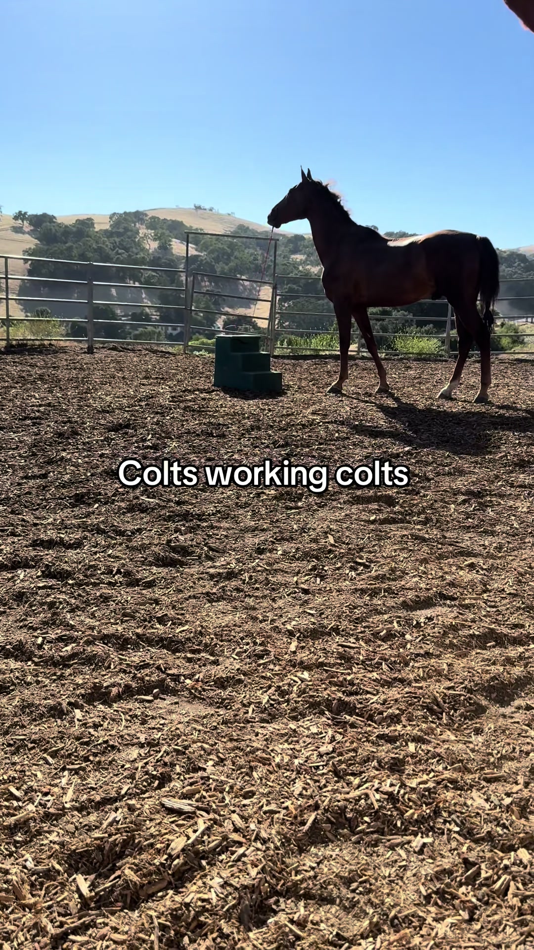 @BoeRanch14