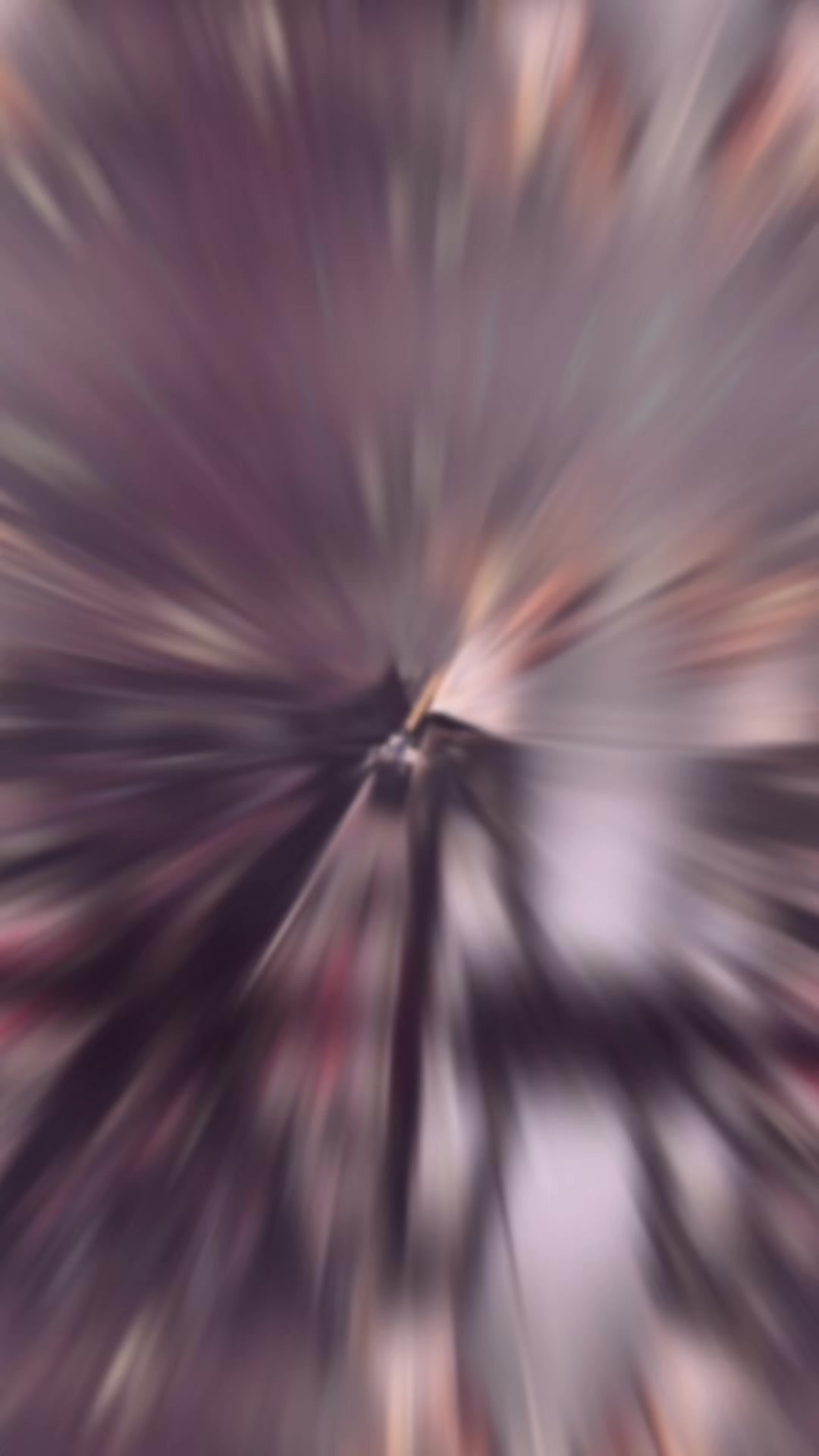 @𝐭𝐭𝐨𝐤𝐤𝐢𝐤𝐨𝐨 𐤀