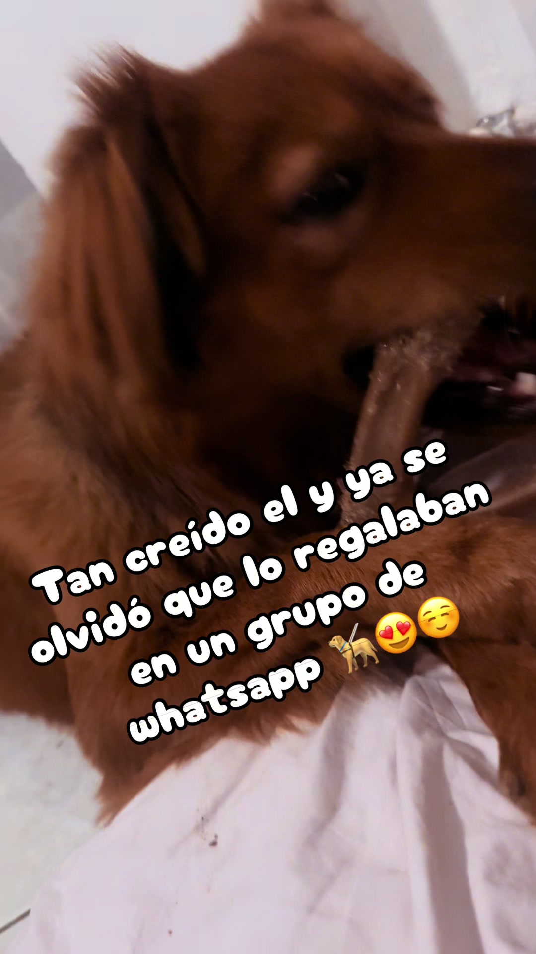 @Alexandrita83