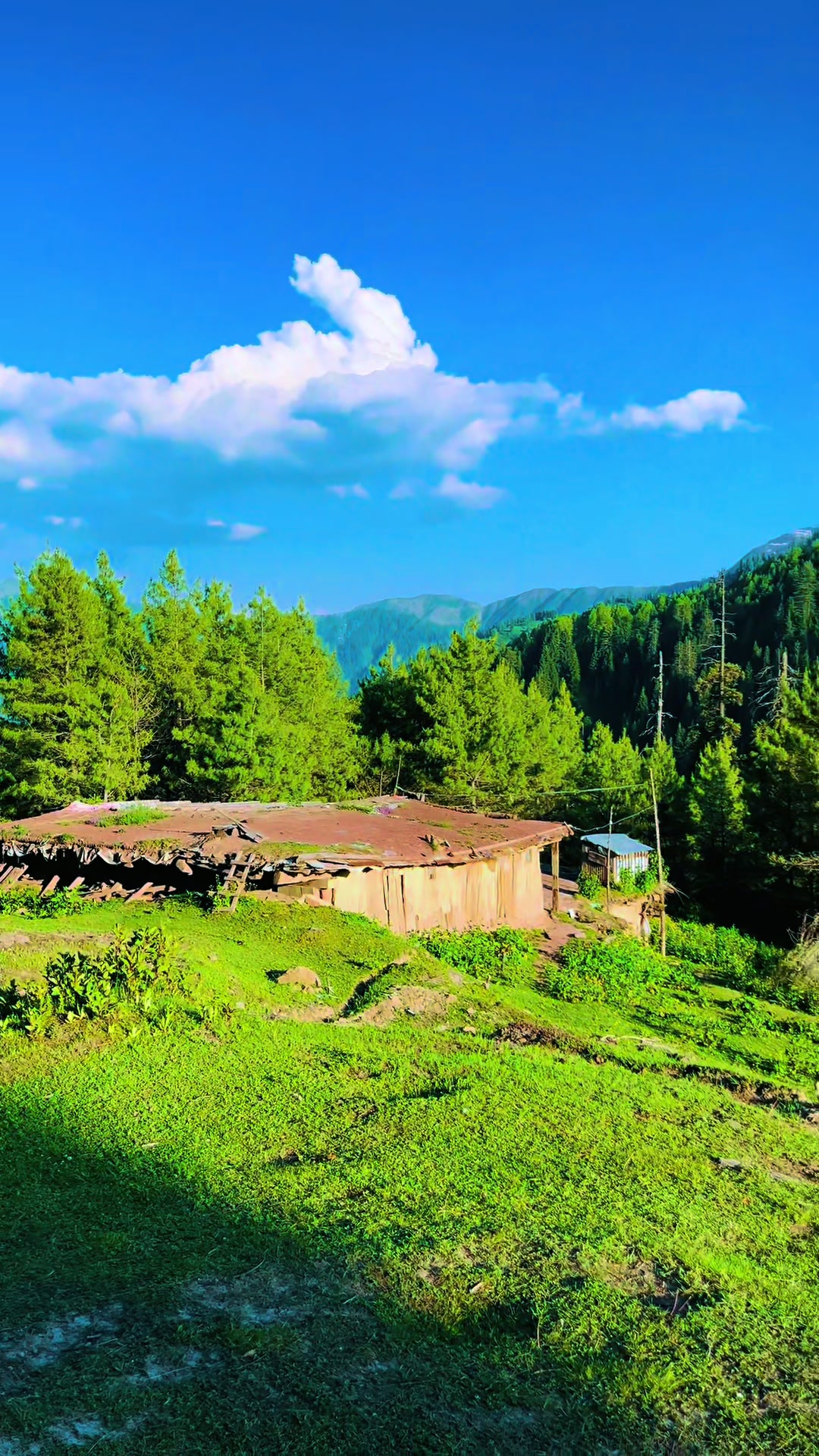@Himalaya Trips & Tours